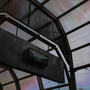 Dust in the Darkness