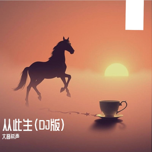 从此生（DJ版）