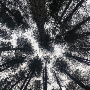 Köprü Kurar Kalplerimiz