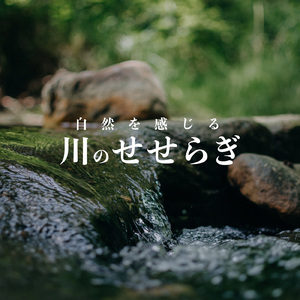 静かな夜の川辺