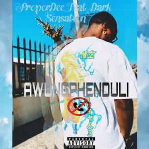 Awungphenduli (feat. Dark Sensation)
