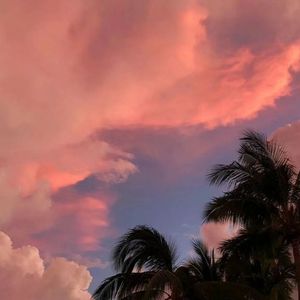 有点甜（Speed Up完整版）