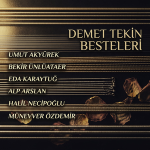 Emsalsiz Güzel (Radio Edit)