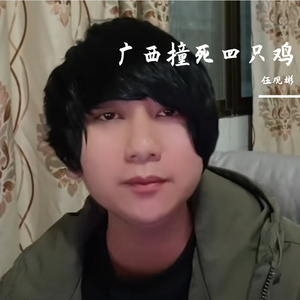 广西撞死四只鸡（奥德彪）