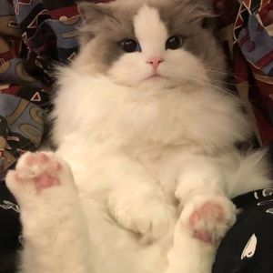 我好想谈场恋爱