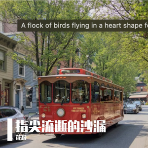 黑色在星空里闪烁