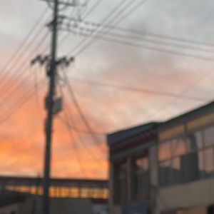 明天过后（翻唱）