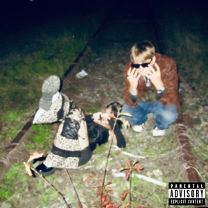 Mám Rád Pěkné Borky