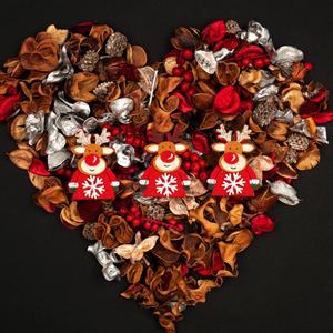 圣诞狂欢嘉年华