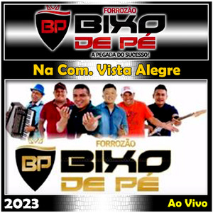 Não quero mais saber de você - Ao Vivo