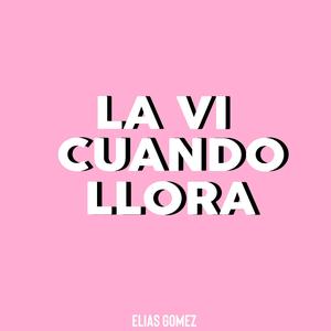 La Vi Cuando Llora