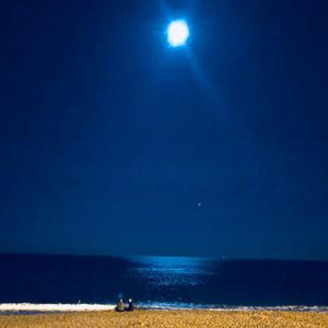 流浪记（cover杨宗纬）（翻自 杨宗纬）