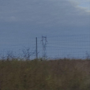 Zorniges Aufbrausen (Live)