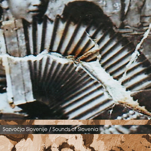 Micika v püngradi rouže bere