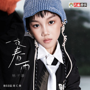 一夜春雨