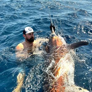 MATAGORDA DREAM