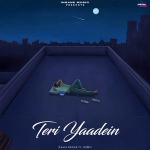 Teri Yaadein
