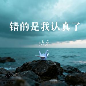 错的是我认真了