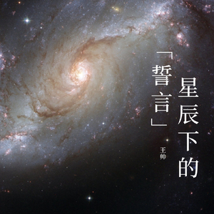 星辰下的誓言