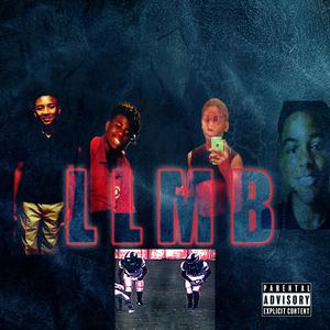LLMB