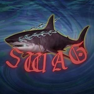 24k纯swag