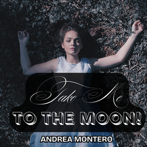 Take Me To The Moon