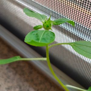 有一种爱叫做放手