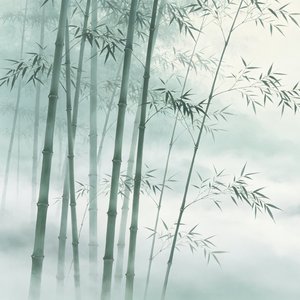 禅音绕谷