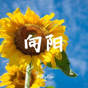 【FREE】未来充满阳光 Pop Type Beat "向阳" JeffryKeys