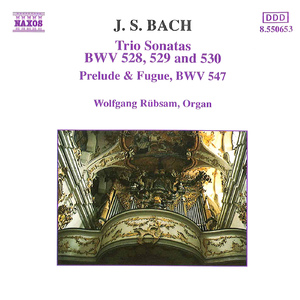 Trio Sonata No. 4 in E Minor, BWV 528:II. Andante