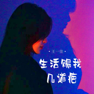 生活赐我几道疤