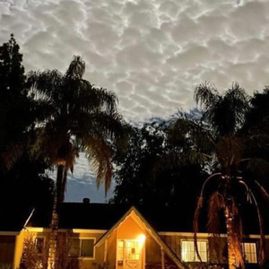 Panagiotopappas ( Bonus Track )