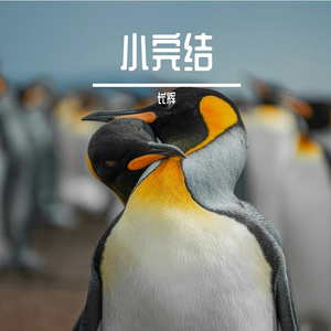 小完结（星尘）