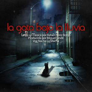 La Gata Bajo la Lluvia
