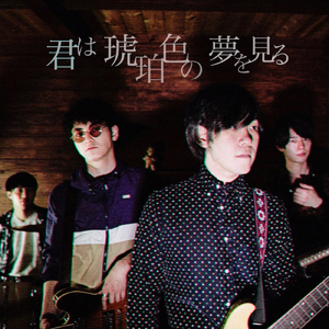 君は琥珀色の夢を見る