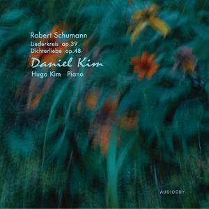 Dichterliebe, Op. 48: XVI. Die alten, bösen Lieder