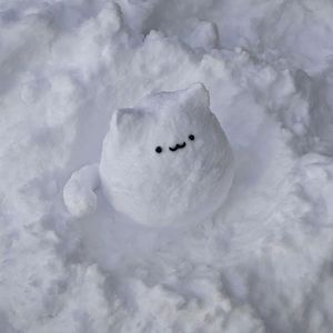 The Collected Stories（cover 第五人格）