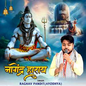 Nagendra Haraye
