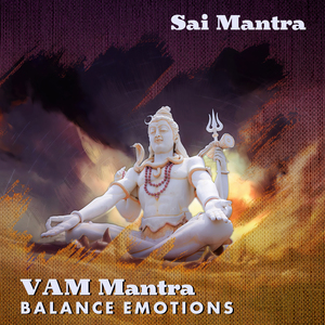 VAM Mantra (Balance Emotions)