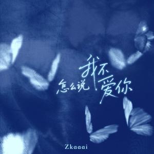 怎么说我不爱你