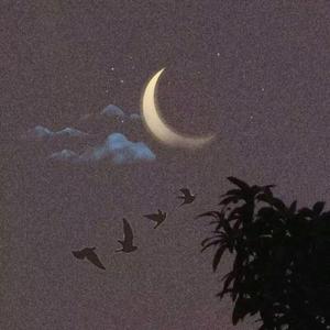 天龙八部之宿敌（翻自 一口田）