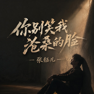 你别笑我沧桑的脸