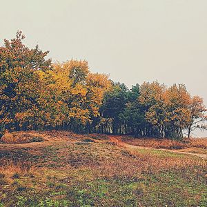 优美在家休息器乐