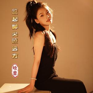 踮起脚尖瞭远方 (Dj默涵版)