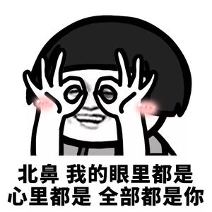 DP龙猪 - 全部都是你(Joy Remix)