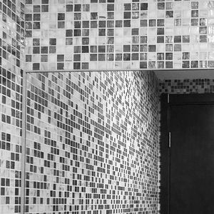 种树时光与此刻梦想