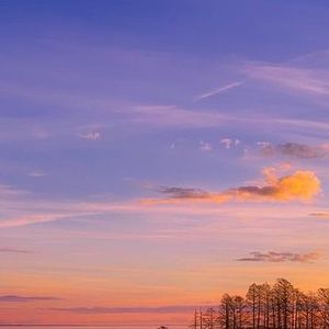 新鲜感是幸福倒计时