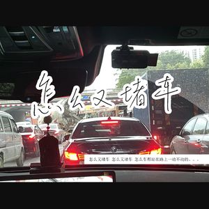 怎么又堵车