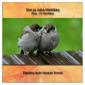 Zapadaa (feat. J-V Hintikka)