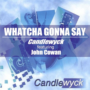 Whatcha Gonna Say (feat. John Cowan)